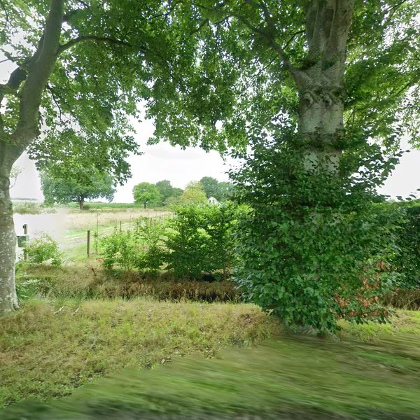 Straatbeeld van Westerdrift 1a, 7981LS Diever
