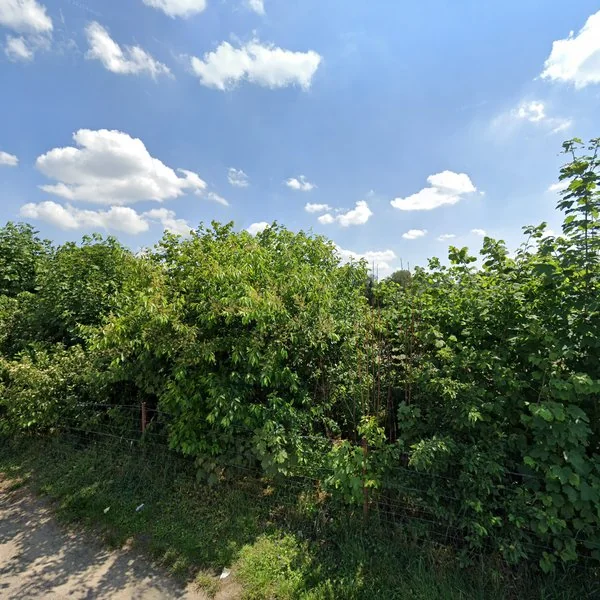 Straatbeeld van Weverstraat 11, 5388PK Nistelrode