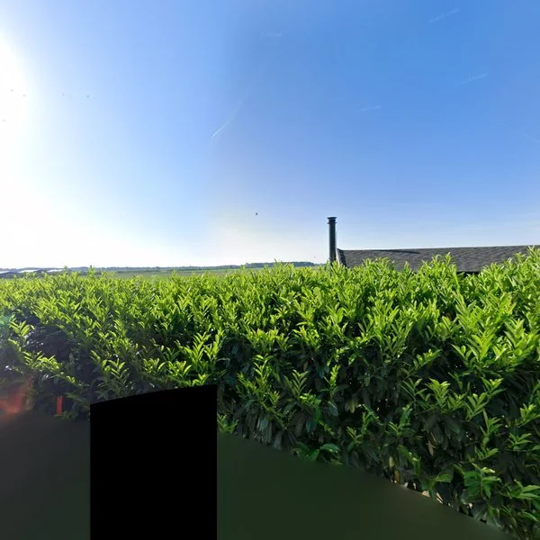 Straatbeeld van Wieldrechtse Zeedijk 46, 3329KT Dordrecht