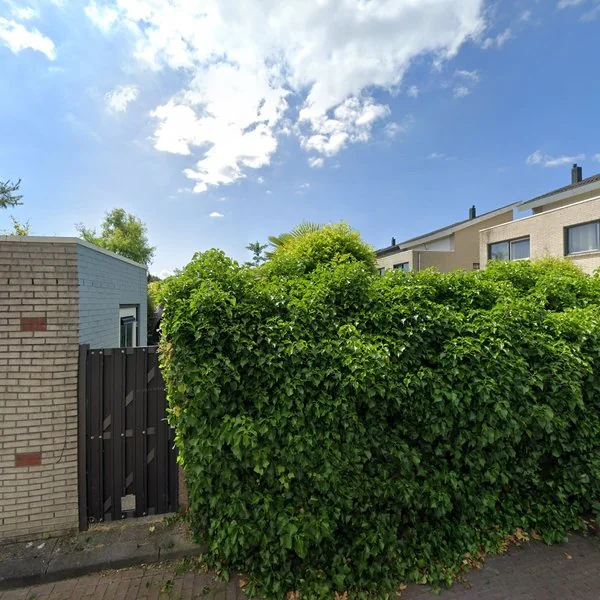 Straatbeeld van Wilgewinde 3, 3317ME Dordrecht
