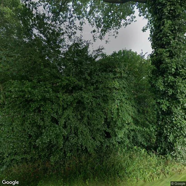 Straatbeeld van Wilhelmsweg 72, 7814VG Emmen