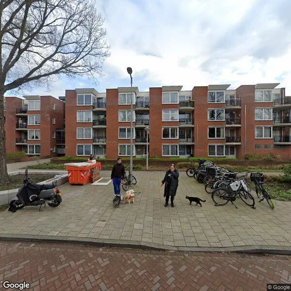 Straatbeeld van Wingerdweg 14B, 1031CA Amsterdam