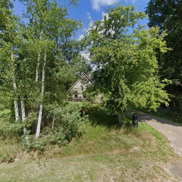 Straatbeeld van Witteveen 16, 7963RC Ruinen