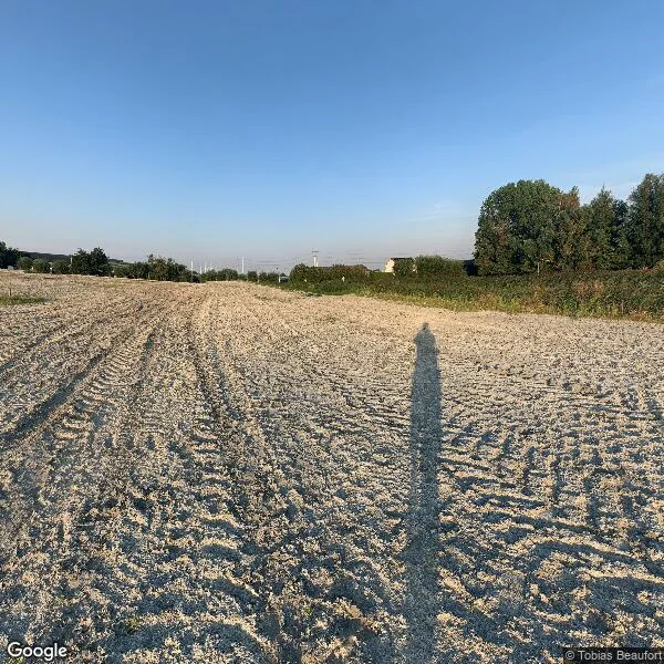 Straatbeeld van Wulpenlande 32, 2642ZW Pijnacker