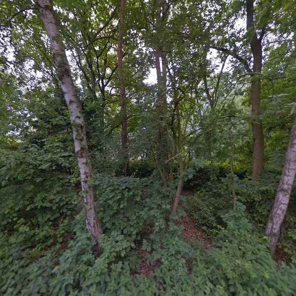 Straatbeeld van Zandstraat 13, 5563AE Westerhoven