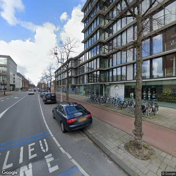 Straatbeeld van Zeeburgerdijk 317, 1095AD Amsterdam