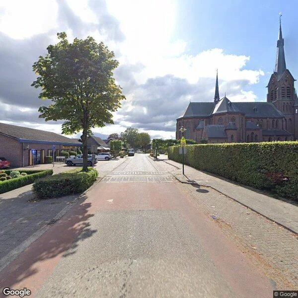 Straatbeeld van Zelfbinder 37, 5176NV De Moer