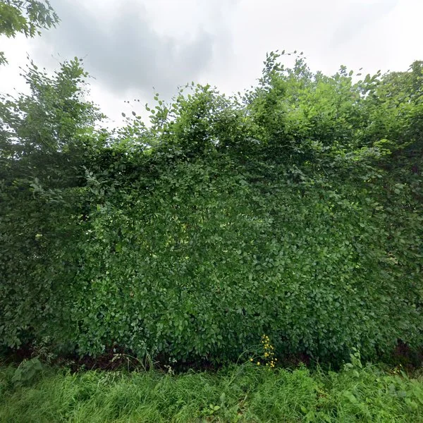 Straatbeeld van Zuiderweg 25, 8393KT Vinkega
