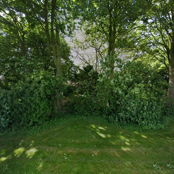 Straatbeeld van Zwartemeerweg 50-1, 8317PC Kraggenburg