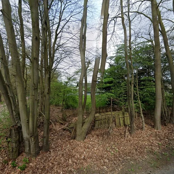 Straatbeeld van Zwartvenseweg 77, 5036PA Tilburg